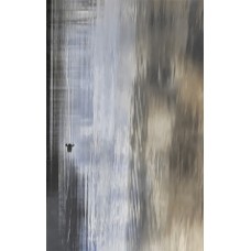 Wanaka бежевый декор 6 250х400